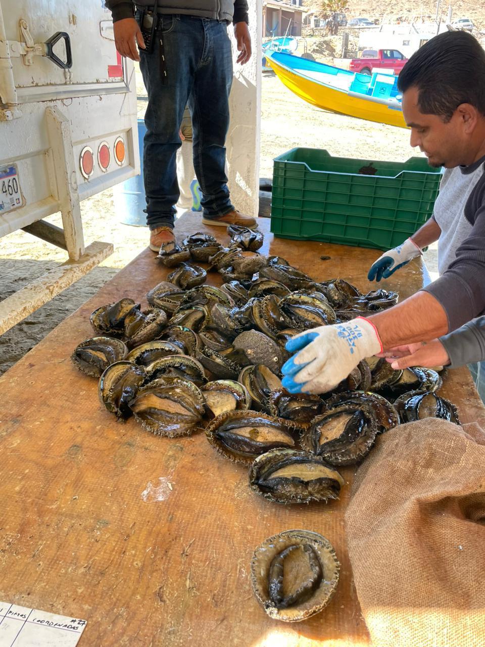 Instalaciones de Procesamiento