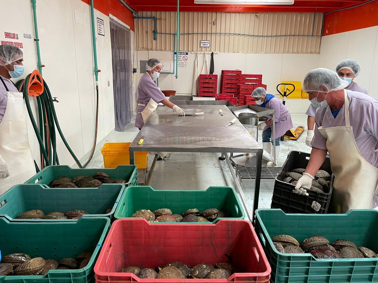 Técnicas de Extracción