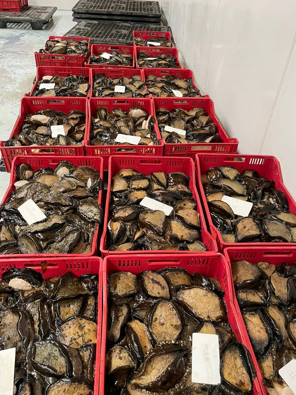 Área de Almacenamiento