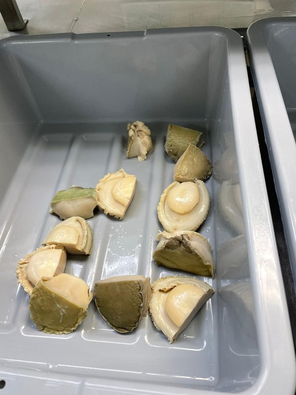 Limpieza y Preparación